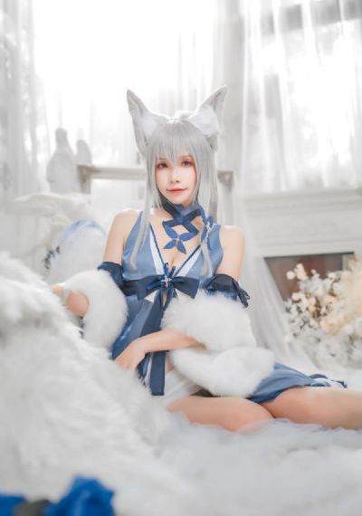 女士的法则全集免费观看完整版