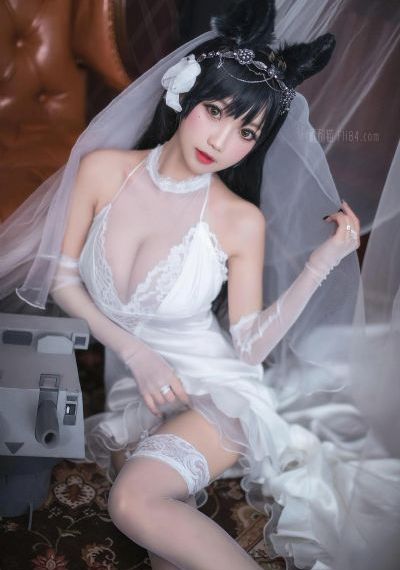 歌手2024在线观看完整版免费高清