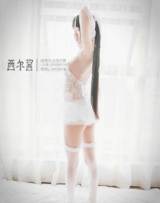 夜蒲3