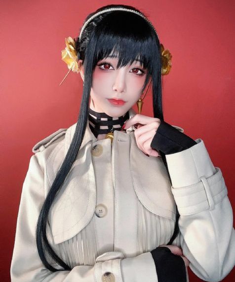 天才基本法电视剧免费观看