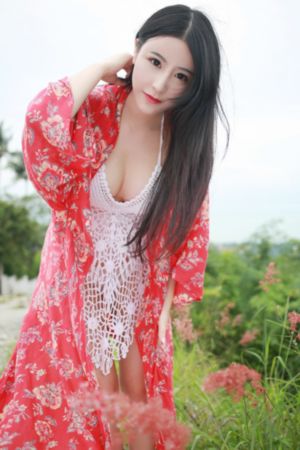 美景之屋高清完整版