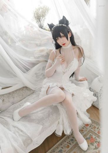 暴走狂花电影完整免费观看