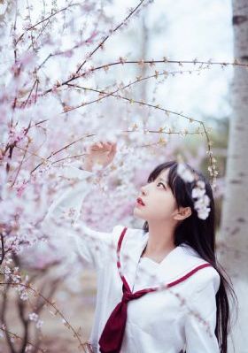 秋霞影院在线观看视频